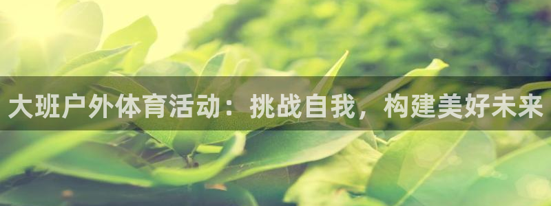 球迷体育足球篮球直播：大班户外体育活动：挑战自我，构建美好未来