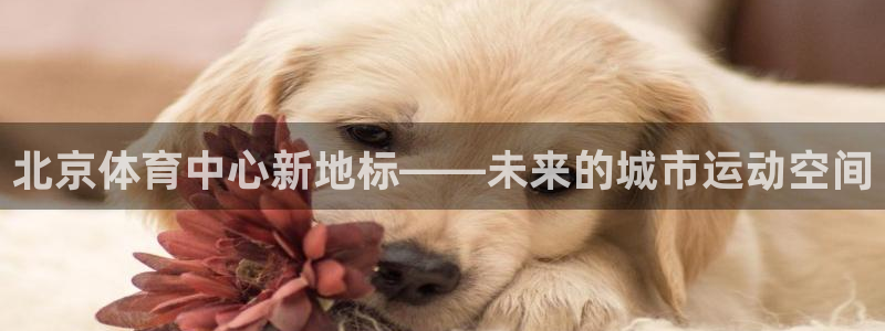 球迷体育怎么买票：北京体育中心新地标——未来的城市运动空间