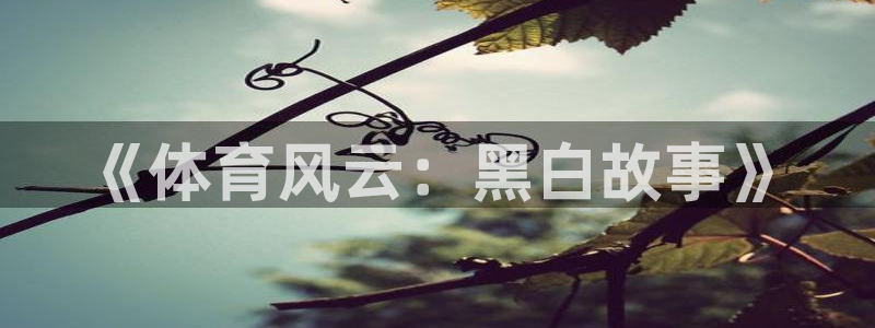 球迷体育怎么买票：《体育风云：黑白故事》