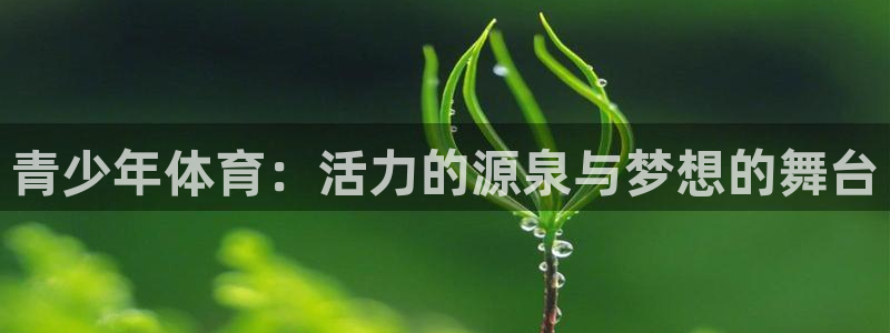 球迷体育最新版下载：青少年体育：活力的源泉与梦想的舞台