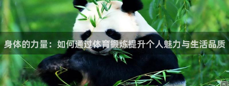 球迷体育官网下载：身体的力量：如何通过体育锻炼提升个人魅力与生活品质