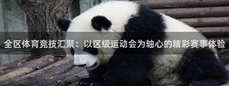 球迷体育的收费方式：全区体育竞技汇聚：以区级运动会为轴心的精彩赛事体验