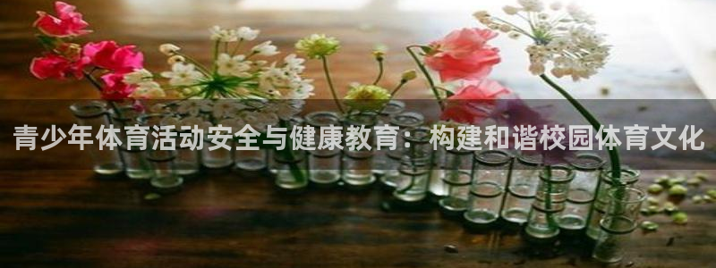 球迷体育最新版下载：青少年体育活动安全与健康教育：构建和谐校园体育文化