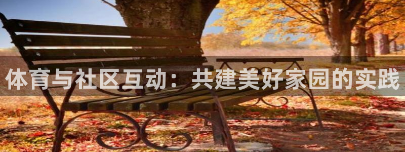 球迷体育能看NBA吗：体育与社区互动：共建美好家园的实践