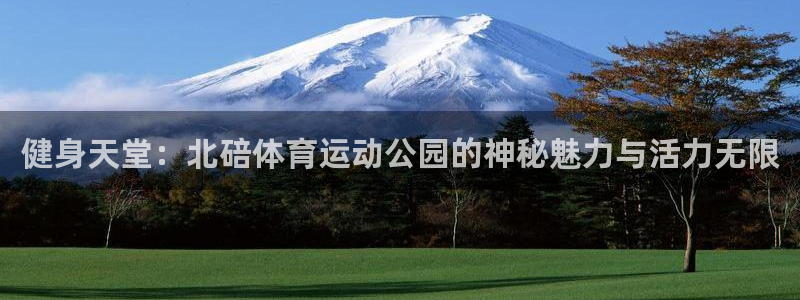 球迷体育手机版下载地址：健身天堂：北碚体育运动公园的神秘魅力与活力无限