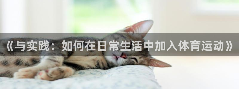 球迷体育的收费方式：《与实践：如何在日常生活中加入体育运动》