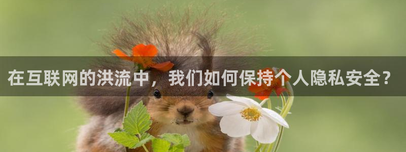 球迷体育软件：在互联网的洪流中，我们如何保持个人隐私安全？