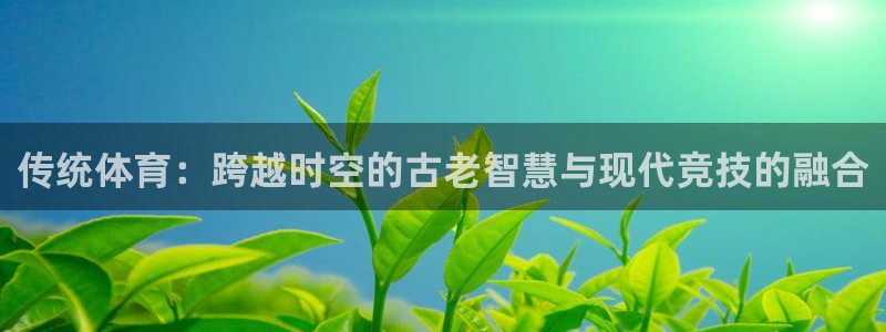 球迷体育能看NBA吗：传统体育：跨越时空的古老智慧与现代竞技的融合