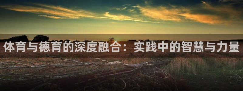 球迷体育app最新版：体育与德育的深度融合：实践中的智慧与力量