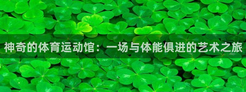 球迷体育怎么看回放：神奇的体育运动馆：一场与体能俱进的艺术之旅